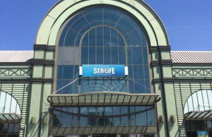 Disney cocooning à 5 minutes du Parc - Foto 30