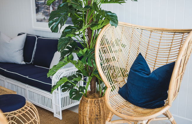 Tingirana Noosa - Foto 77