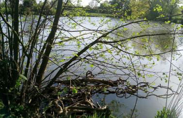 Les Clés Nature - Foto 8