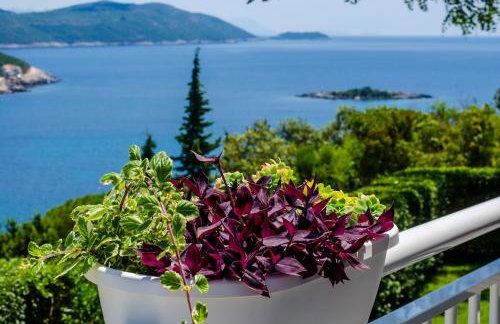 Apartments Sara - Photo 90