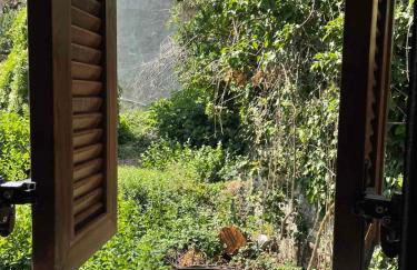 Rodanthe's Guest House - Photo 28