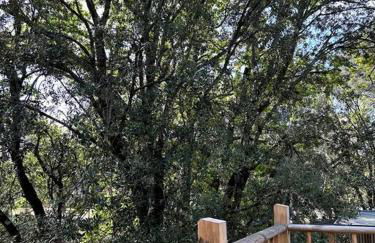 Ma cabane sous les arbres - Foto 24