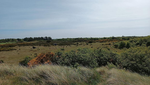 6 Person Holiday Home in Skjern - Foto 3, Miscelánea