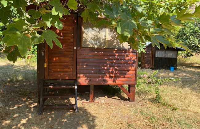 Kelebekler Vadisi Butterfly Valley - Foto 22