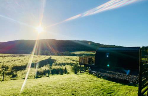 The Pod Over By - Foto 30