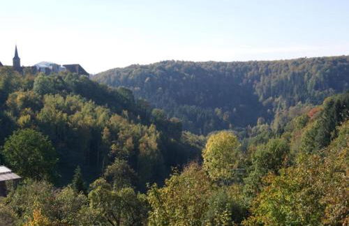 Chalet in Dabo near Castle Ruins - Photo 36