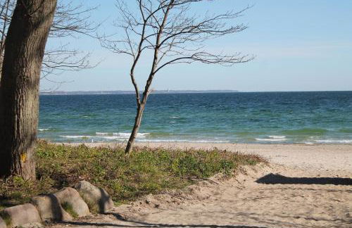 Forsthaus Wendt - Foto 17