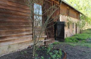 Pauline 3 - Photo 48