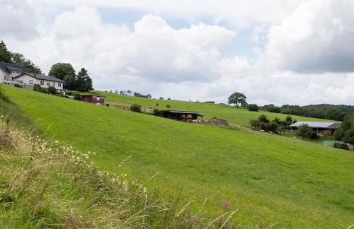 Ferienwohnung Roderath - Photo 21