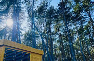 Bursztynowo - Foto 7