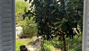 Appartement calme avec jardin - Foto 5