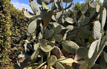 L'Oasi di Evelyn - Foto 19