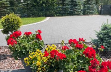 Pogodna Zagroda-Dom na Kaszubach & Strefa Spa - Foto 31