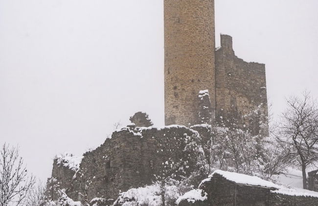 Maison Chatelard - Foto 38