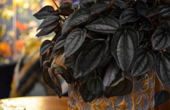 The Tower, Moray Firth Holiday Home - Foto 29