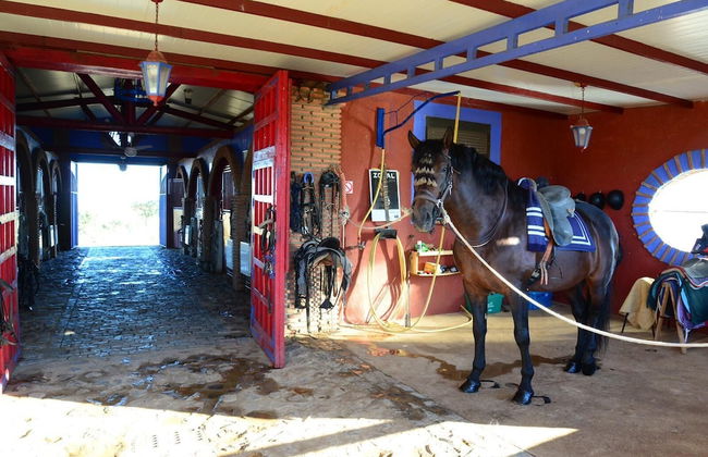 Casa Rural Yeguada Jimenez Latorre - Foto 30