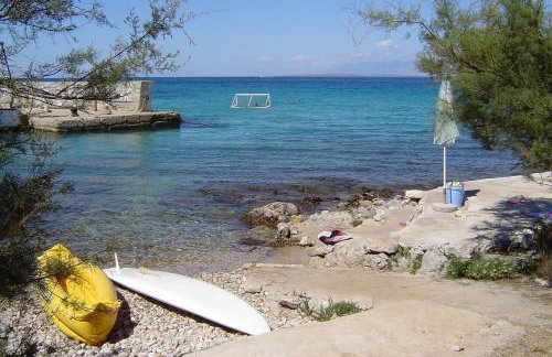 Studio Susica 8265a - Foto 3