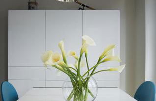 CAROLA l, "apartamento de lujo a 100m playa Catia" - Foto 18