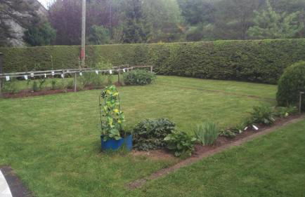 Ferienhaus Margaretha - Foto 17