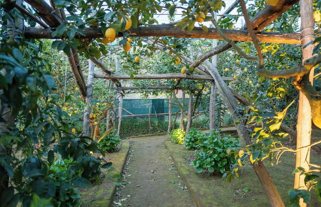 Villa Margherita Garden - Foto 45