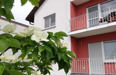 Ferienhaus Rauwolf mit 2 Ferienwohnungen - Photo 30