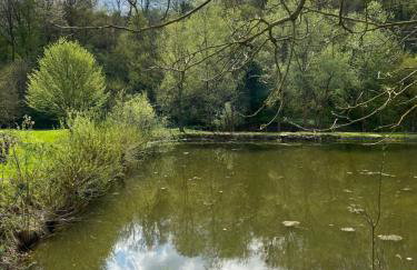 Drewniana chata nad stawem - Foto 40