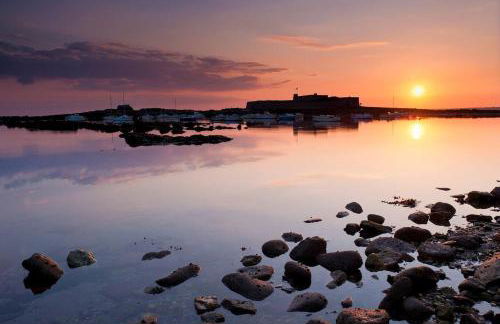 ParcAppart 2 - Terrasse - Parking - Netflix - Photo 27