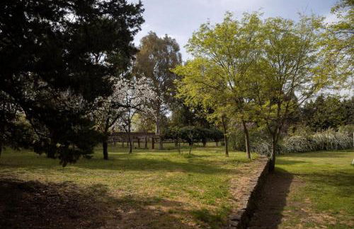 Parco Statella - Foto 52