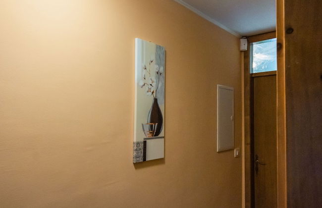 Vineyard cottage Na hribu - Photo 8