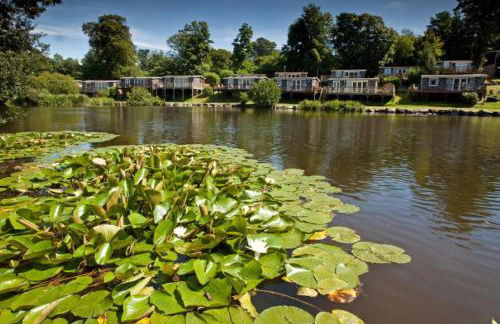 Betty’s Hideaway - Photo 32