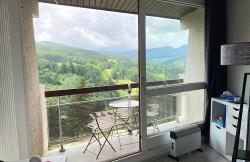 Au pied des pistes Côte 2000 - Le Balcon de Villard de Lans - Foto 4