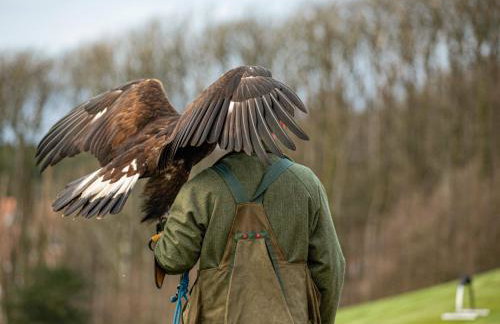 Royal Dornoch - Ukc6918 - Photo 13