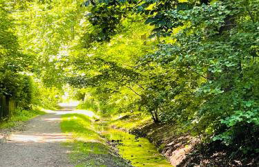 "Glück auf" Lichtdurchflutete schicke Ferienwohnung in Zwickau - Foto 46