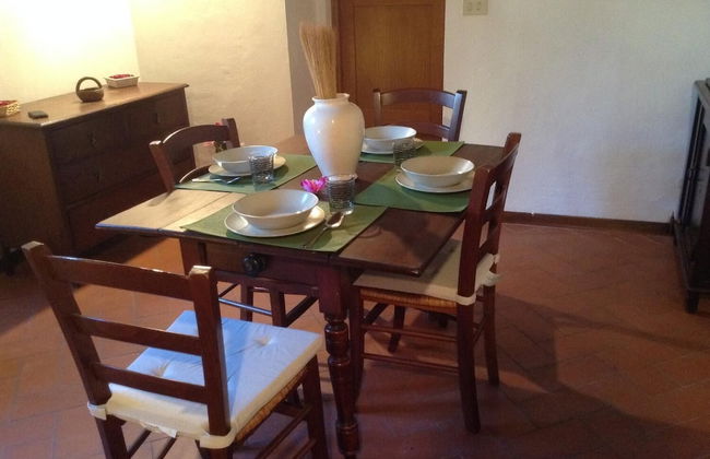 Vellutini Number One - Foto 24