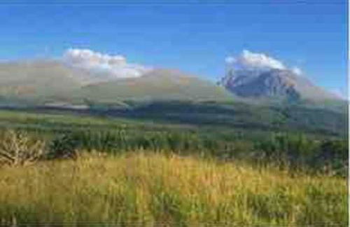 Wild Nurture Eco Luxury Offgrid Log Cabin - Foto 49