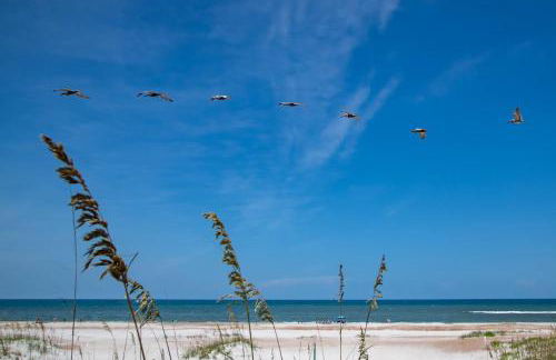 61 Spanish St. Unit A - Foto 44