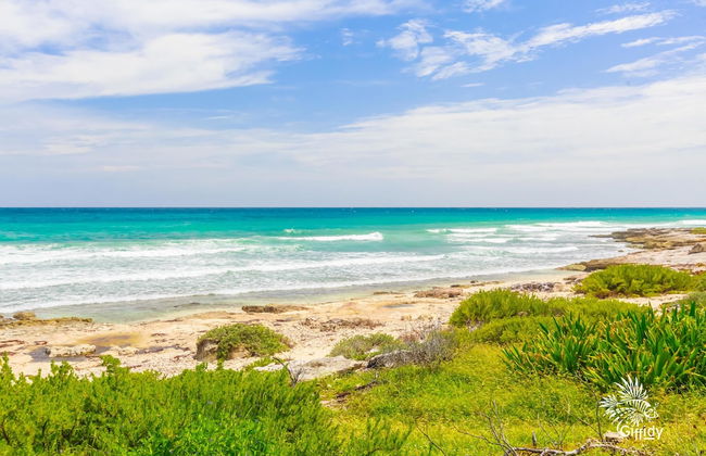 Casa Amor - Studio - Photo 19