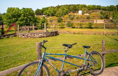 Casa do Marujo e Casa do Mirone - Foto 79