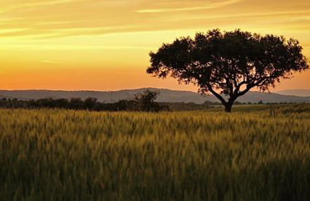 Casa da Matriz - Foto 119