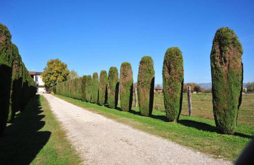 Agriturismo Corte Bonetti - Foto 12