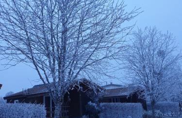 Chalet Jonquille 1 - Foto 2