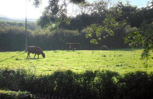 White Cottage - Foto 10