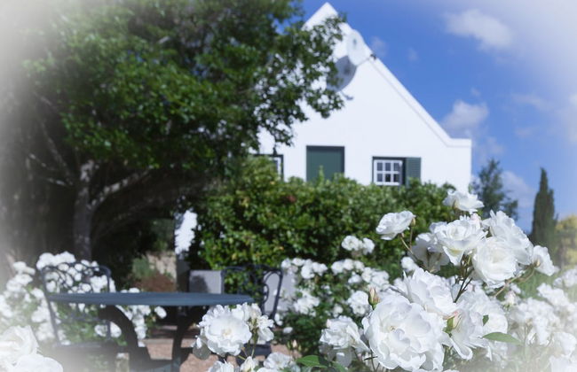 Sanddrif Guest Farm - Foto 7