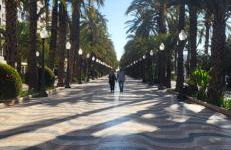 Nautilus Orihuela Costa - Foto 25