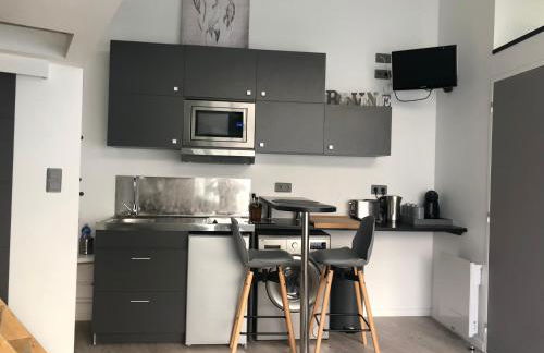 2 Lofts Cosy de cachet idéalement situés au Centre Ville de Clermont-Ferrand - Foto 2