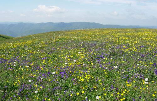 Agriturismo Serracanina - Foto 16