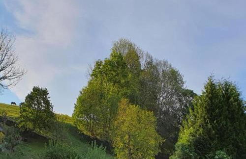 Tranquil Stay in Dornthal - Foto 58