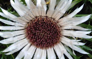 Ferienwohnung mit kleinem Garten - Foto 28