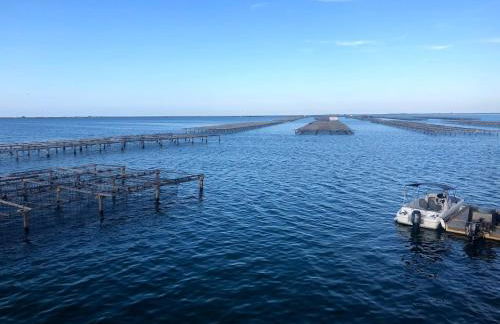 LA CASA DE LA OLIVERA Luxurious house - Foto 68