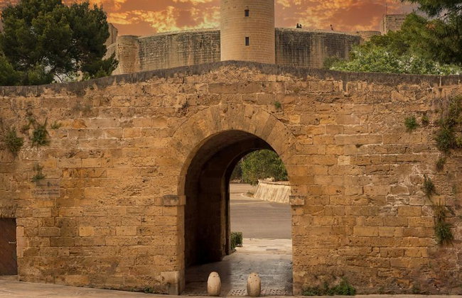 Ultimate Palma Tour: Historic Highlights Palaces, Gardens & Cathedral Tour - Foto 6